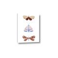 Picture of Pastel Butterflies II _GroupedProduct_Rectangle_Portrait_Mini_ _GroupedProduct_Rectangle_Portrait_Canvas_
