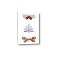 Picture of Pastel Butterflies II _GroupedProduct_Rectangle_Portrait_Mini_ _GroupedProduct_Rectangle_Portrait_Canvas_