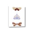 Picture of Pastel Butterflies II _GroupedProduct_Rectangle_Portrait_Mini_ _GroupedProduct_Rectangle_Portrait_Canvas_