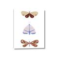 Picture of Pastel Butterflies II _GroupedProduct_Rectangle_Portrait_Mini_ _GroupedProduct_Rectangle_Portrait_Canvas_