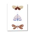 Picture of Pastel Butterflies II _GroupedProduct_Rectangle_Portrait_Mini_ _GroupedProduct_Rectangle_Portrait_Canvas_
