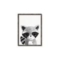 Picture of Curious Raccoon  _GroupedProduct_Rectangle_Portrait_Mini_ _GroupedProduct_Rectangle_Portrait_Canvas_Framed_
