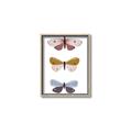 Picture of Pastel Butterflies I _GroupedProduct_Rectangle_Portrait_Mini_ _GroupedProduct_Rectangle_Portrait_Canvas_Framed_