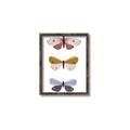 Picture of Pastel Butterflies I _GroupedProduct_Rectangle_Portrait_Mini_ _GroupedProduct_Rectangle_Portrait_Canvas_Framed_