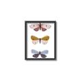 Picture of Pastel Butterflies I _GroupedProduct_Rectangle_Portrait_Mini_ _GroupedProduct_Rectangle_Portrait_Canvas_Framed_