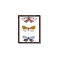 Picture of Pastel Butterflies I _GroupedProduct_Rectangle_Portrait_Mini_ _GroupedProduct_Rectangle_Portrait_Canvas_Framed_