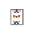 Picture of Pastel Butterflies I _GroupedProduct_Rectangle_Portrait_Mini_ _GroupedProduct_Rectangle_Portrait_Canvas_Framed_