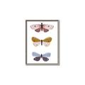 Picture of Pastel Butterflies I _GroupedProduct_Rectangle_Portrait_Mini_ _GroupedProduct_Rectangle_Portrait_Canvas_Framed_