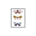 Picture of Pastel Butterflies I _GroupedProduct_Rectangle_Portrait_Mini_ _GroupedProduct_Rectangle_Portrait_Canvas_Framed_