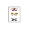 Picture of Pastel Butterflies I _GroupedProduct_Rectangle_Portrait_Mini_ _GroupedProduct_Rectangle_Portrait_Canvas_Framed_