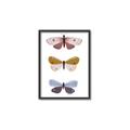 Picture of Pastel Butterflies I _GroupedProduct_Rectangle_Portrait_Mini_ _GroupedProduct_Rectangle_Portrait_Canvas_Framed_