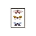 Picture of Pastel Butterflies I _GroupedProduct_Rectangle_Portrait_Mini_ _GroupedProduct_Rectangle_Portrait_Canvas_Framed_