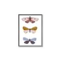 Picture of Pastel Butterflies I _GroupedProduct_Rectangle_Portrait_Mini_ _GroupedProduct_Rectangle_Portrait_Canvas_Framed_