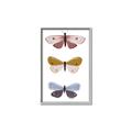 Picture of Pastel Butterflies I _GroupedProduct_Rectangle_Portrait_Mini_ _GroupedProduct_Rectangle_Portrait_Canvas_Framed_