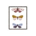 Picture of Pastel Butterflies I _GroupedProduct_Rectangle_Portrait_Mini_ _GroupedProduct_Rectangle_Portrait_Canvas_Framed_