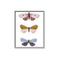 Picture of Pastel Butterflies I _GroupedProduct_Rectangle_Portrait_Mini_ _GroupedProduct_Rectangle_Portrait_Canvas_Framed_