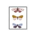 Picture of Pastel Butterflies I _GroupedProduct_Rectangle_Portrait_Mini_ _GroupedProduct_Rectangle_Portrait_Canvas_Framed_