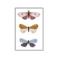 Picture of Pastel Butterflies I _GroupedProduct_Rectangle_Portrait_Mini_ _GroupedProduct_Rectangle_Portrait_Canvas_Framed_