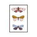 Picture of Pastel Butterflies I _GroupedProduct_Rectangle_Portrait_Mini_ _GroupedProduct_Rectangle_Portrait_Canvas_Framed_