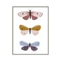 Picture of Pastel Butterflies I _GroupedProduct_Rectangle_Portrait_Mini_ _GroupedProduct_Rectangle_Portrait_Canvas_Framed_