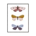 Picture of Pastel Butterflies I _GroupedProduct_Rectangle_Portrait_Mini_ _GroupedProduct_Rectangle_Portrait_Canvas_Framed_