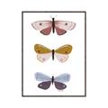 Picture of Pastel Butterflies I _GroupedProduct_Rectangle_Portrait_Mini_ _GroupedProduct_Rectangle_Portrait_Canvas_Framed_