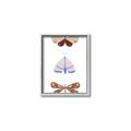 Picture of Pastel Butterflies II _GroupedProduct_Rectangle_Portrait_Mini_ _GroupedProduct_Rectangle_Portrait_Canvas_Framed_