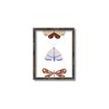 Picture of Pastel Butterflies II _GroupedProduct_Rectangle_Portrait_Mini_ _GroupedProduct_Rectangle_Portrait_Canvas_Framed_