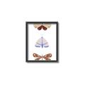 Picture of Pastel Butterflies II _GroupedProduct_Rectangle_Portrait_Mini_ _GroupedProduct_Rectangle_Portrait_Canvas_Framed_