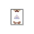 Picture of Pastel Butterflies II _GroupedProduct_Rectangle_Portrait_Mini_ _GroupedProduct_Rectangle_Portrait_Canvas_Framed_