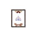 Picture of Pastel Butterflies II _GroupedProduct_Rectangle_Portrait_Mini_ _GroupedProduct_Rectangle_Portrait_Canvas_Framed_