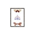 Picture of Pastel Butterflies II _GroupedProduct_Rectangle_Portrait_Mini_ _GroupedProduct_Rectangle_Portrait_Canvas_Framed_