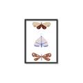 Picture of Pastel Butterflies II _GroupedProduct_Rectangle_Portrait_Mini_ _GroupedProduct_Rectangle_Portrait_Canvas_Framed_