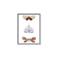 Picture of Pastel Butterflies II _GroupedProduct_Rectangle_Portrait_Mini_ _GroupedProduct_Rectangle_Portrait_Canvas_Framed_