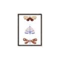 Picture of Pastel Butterflies II _GroupedProduct_Rectangle_Portrait_Mini_ _GroupedProduct_Rectangle_Portrait_Canvas_Framed_