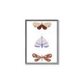 Picture of Pastel Butterflies II _GroupedProduct_Rectangle_Portrait_Mini_ _GroupedProduct_Rectangle_Portrait_Canvas_Framed_