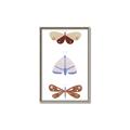 Picture of Pastel Butterflies II _GroupedProduct_Rectangle_Portrait_Mini_ _GroupedProduct_Rectangle_Portrait_Canvas_Framed_