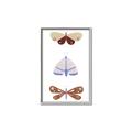 Picture of Pastel Butterflies II _GroupedProduct_Rectangle_Portrait_Mini_ _GroupedProduct_Rectangle_Portrait_Canvas_Framed_