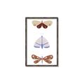 Picture of Pastel Butterflies II _GroupedProduct_Rectangle_Portrait_Mini_ _GroupedProduct_Rectangle_Portrait_Canvas_Framed_
