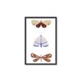 Picture of Pastel Butterflies II _GroupedProduct_Rectangle_Portrait_Mini_ _GroupedProduct_Rectangle_Portrait_Canvas_Framed_
