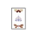 Picture of Pastel Butterflies II _GroupedProduct_Rectangle_Portrait_Mini_ _GroupedProduct_Rectangle_Portrait_Canvas_Framed_