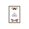 Picture of Pastel Butterflies II _GroupedProduct_Rectangle_Portrait_Mini_ _GroupedProduct_Rectangle_Portrait_Canvas_Framed_