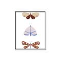 Picture of Pastel Butterflies II _GroupedProduct_Rectangle_Portrait_Mini_ _GroupedProduct_Rectangle_Portrait_Canvas_Framed_