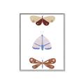 Picture of Pastel Butterflies II _GroupedProduct_Rectangle_Portrait_Mini_ _GroupedProduct_Rectangle_Portrait_Canvas_Framed_