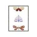 Picture of Pastel Butterflies II _GroupedProduct_Rectangle_Portrait_Mini_ _GroupedProduct_Rectangle_Portrait_Canvas_Framed_