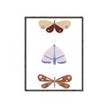 Picture of Pastel Butterflies II _GroupedProduct_Rectangle_Portrait_Mini_ _GroupedProduct_Rectangle_Portrait_Canvas_Framed_