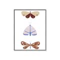 Picture of Pastel Butterflies II _GroupedProduct_Rectangle_Portrait_Mini_ _GroupedProduct_Rectangle_Portrait_Canvas_Framed_
