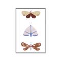 Picture of Pastel Butterflies II _GroupedProduct_Rectangle_Portrait_Mini_ _GroupedProduct_Rectangle_Portrait_Canvas_Framed_