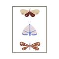 Picture of Pastel Butterflies II _GroupedProduct_Rectangle_Portrait_Mini_ _GroupedProduct_Rectangle_Portrait_Canvas_Framed_
