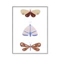 Picture of Pastel Butterflies II _GroupedProduct_Rectangle_Portrait_Mini_ _GroupedProduct_Rectangle_Portrait_Canvas_Framed_